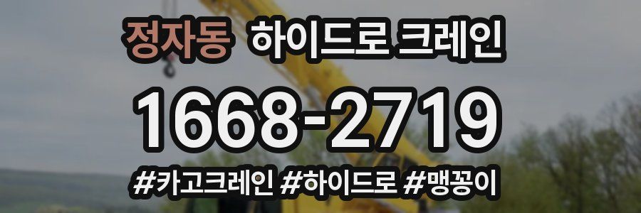 정자동 하이드로 크레인