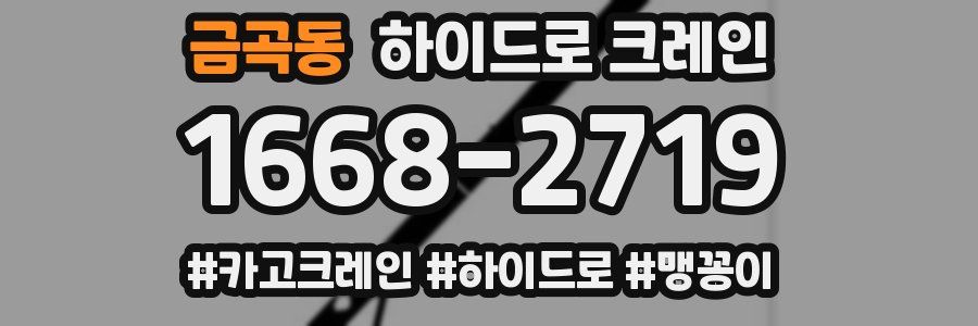 금곡동 하이드로 크레인