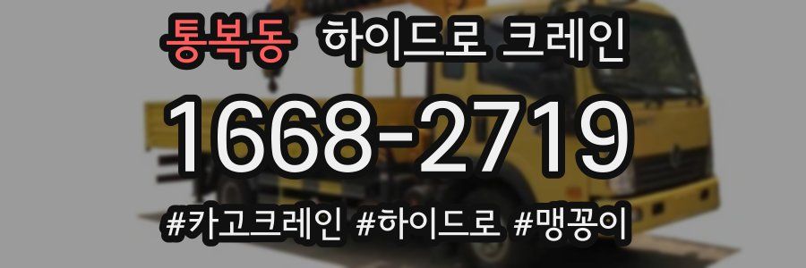 통복동 하이드로 크레인