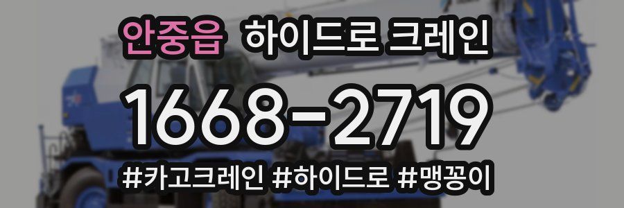 안중읍 하이드로 크레인