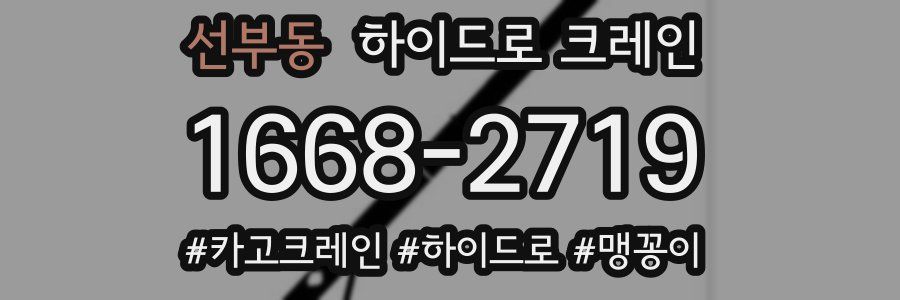 선부동 하이드로 크레인