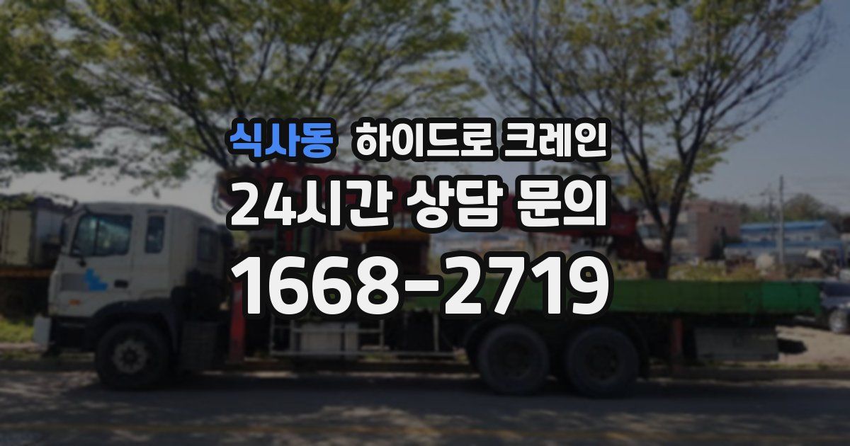 식사동 하이드로 크레인