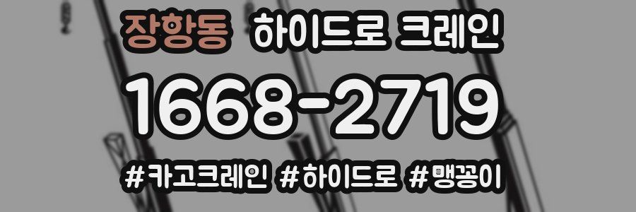 장항동 하이드로 크레인