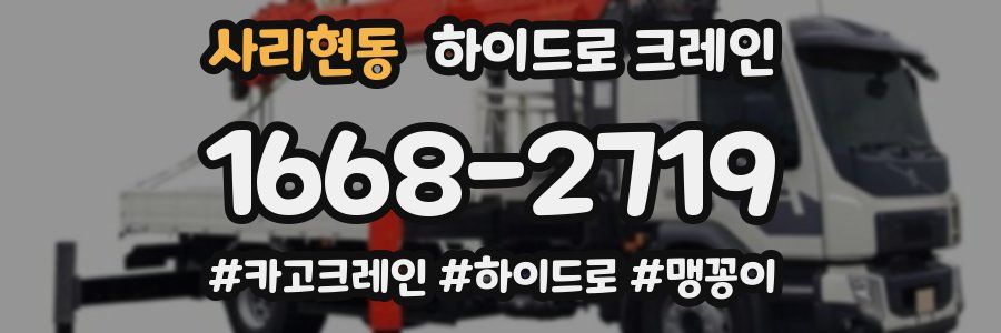 사리현동 하이드로 크레인