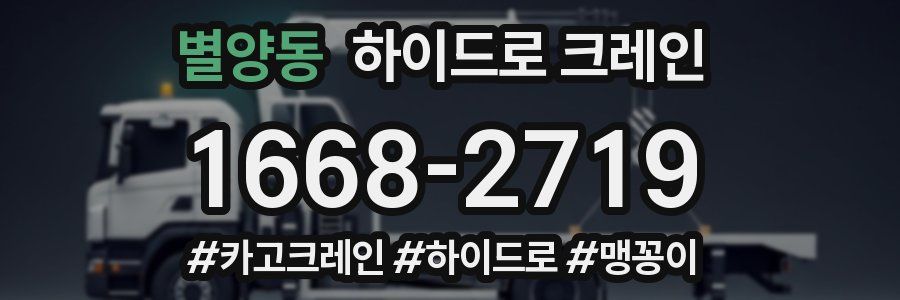 별양동 하이드로 크레인