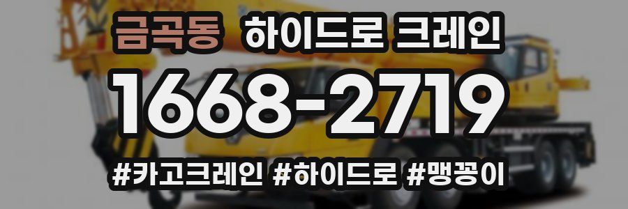 금곡동 하이드로 크레인