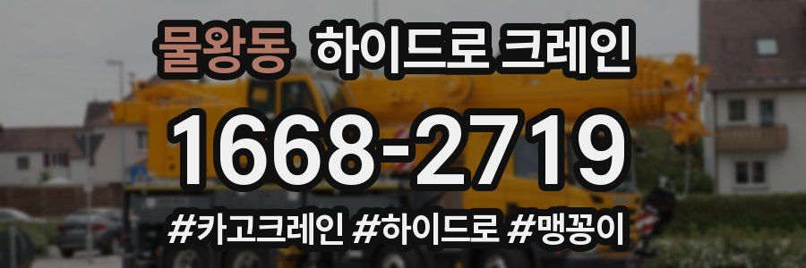 물왕동 하이드로 크레인