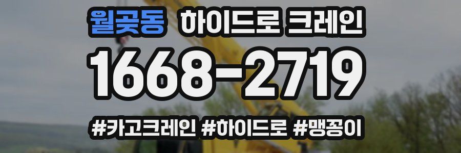 월곶동 하이드로 크레인