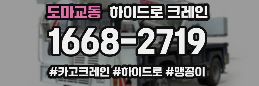 도마교동 하이드로 크레인