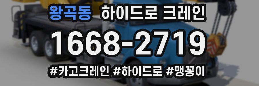 왕곡동 하이드로 크레인