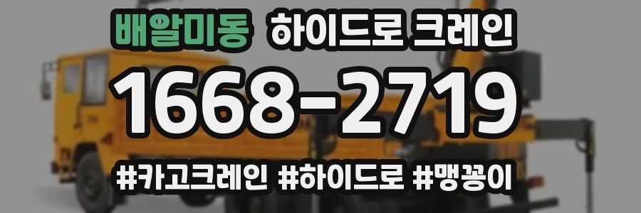 배알미동 하이드로 크레인