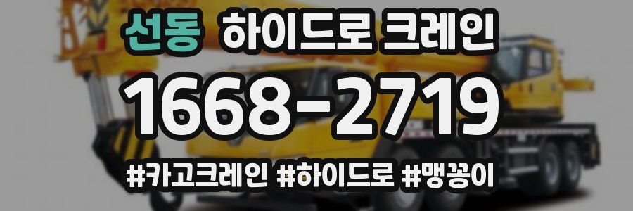선동 하이드로 크레인
