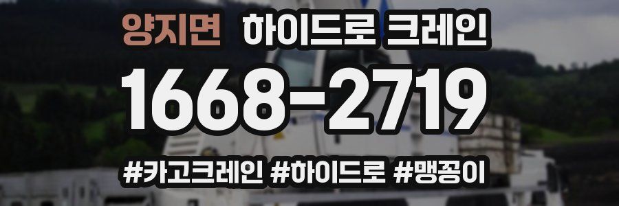 양지면 하이드로 크레인