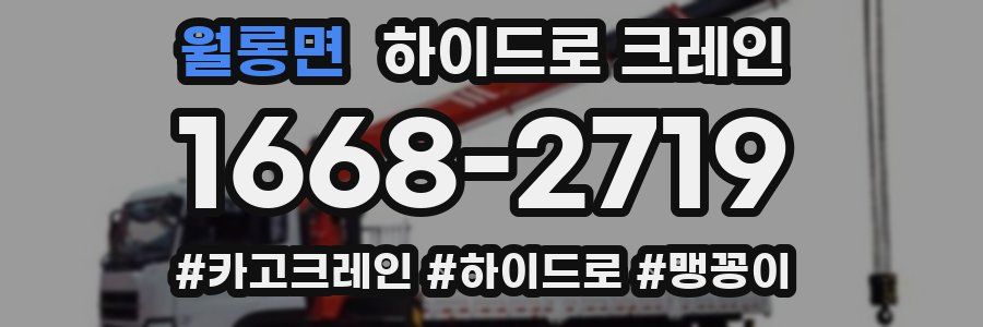 월롱면 하이드로 크레인
