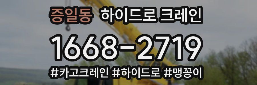 증일동 하이드로 크레인