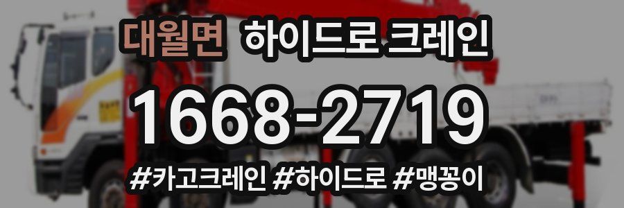 대월면 하이드로 크레인