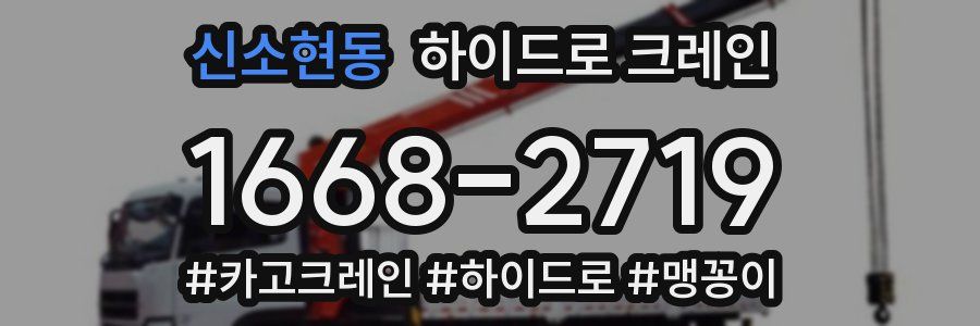 신소현동 하이드로 크레인