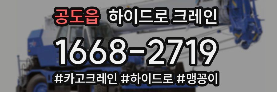 공도읍 하이드로 크레인
