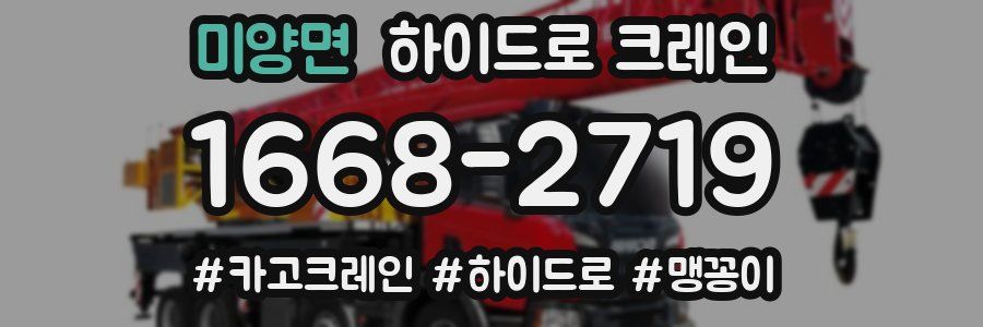 미양면 하이드로 크레인