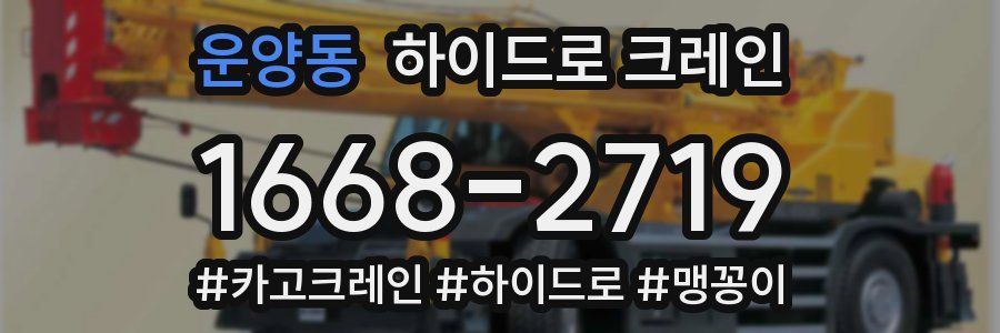운양동 하이드로 크레인