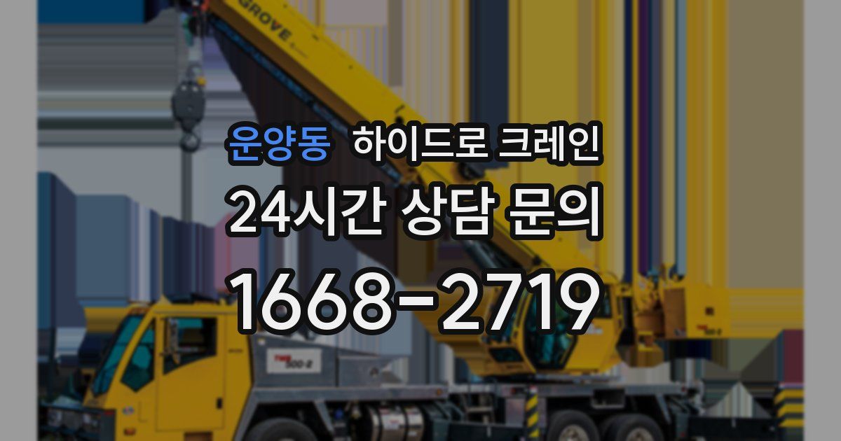 운양동 하이드로 크레인