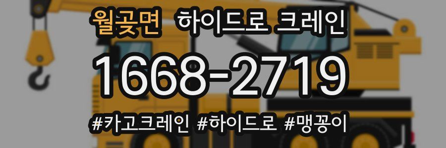 월곶면 하이드로 크레인