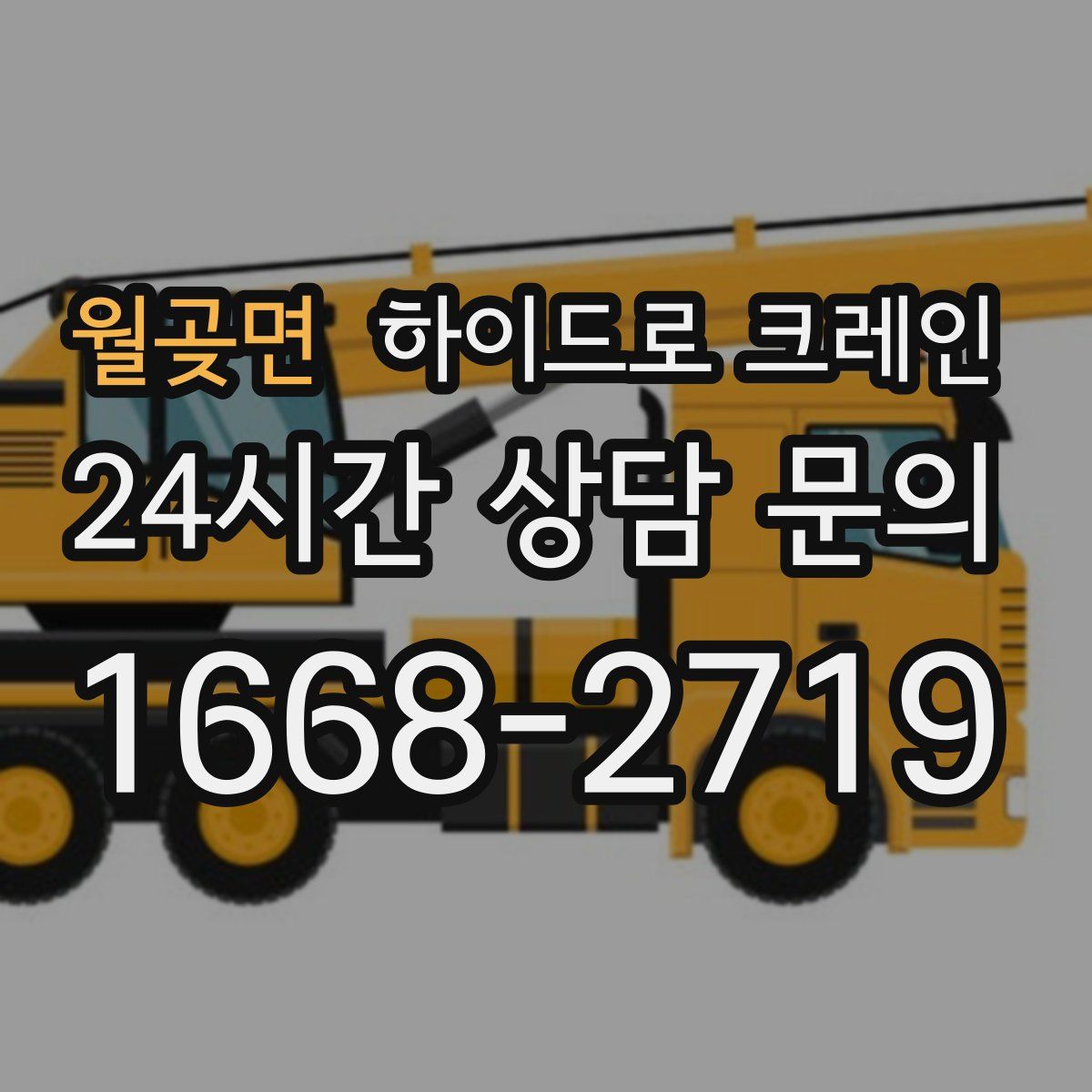 월곶면 하이드로 크레인