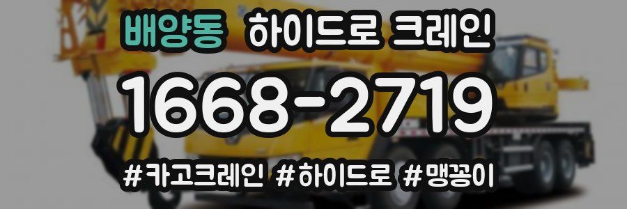 배양동 하이드로 크레인