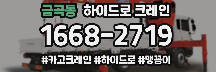 금곡동 하이드로 크레인