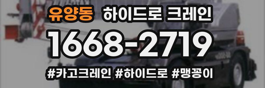 유양동 하이드로 크레인