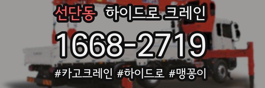 선단동 하이드로 크레인