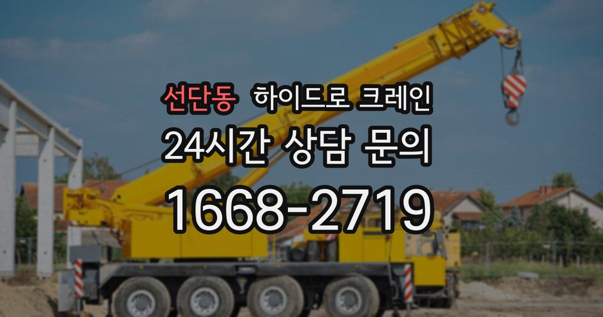선단동 하이드로 크레인
