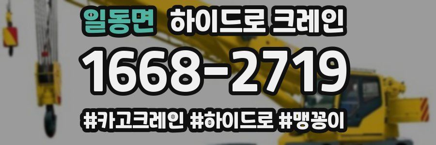 일동면 하이드로 크레인