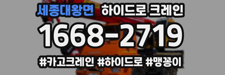 세종대왕면 하이드로 크레인