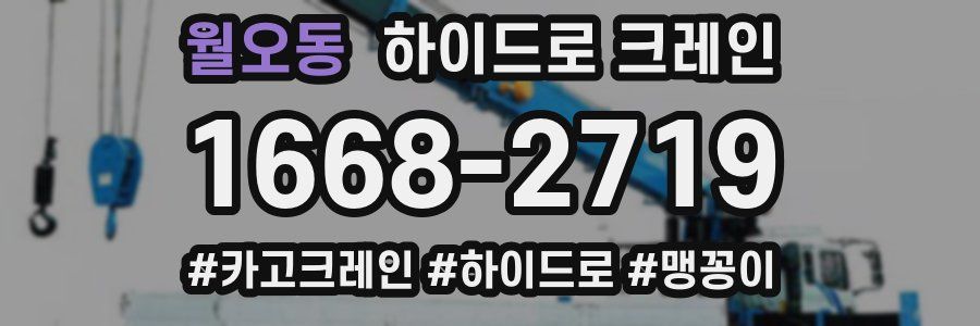 월오동 하이드로 크레인