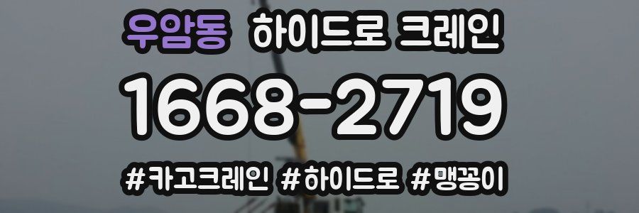 우암동 하이드로 크레인