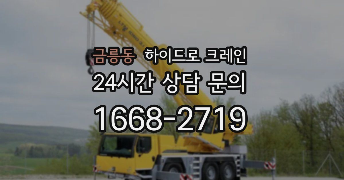 금릉동 하이드로 크레인