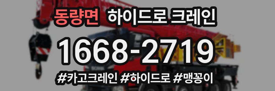 동량면 하이드로 크레인