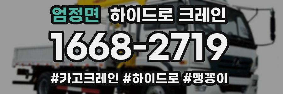 엄정면 하이드로 크레인