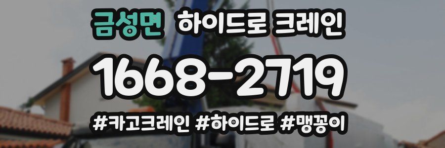 금성면 하이드로 크레인