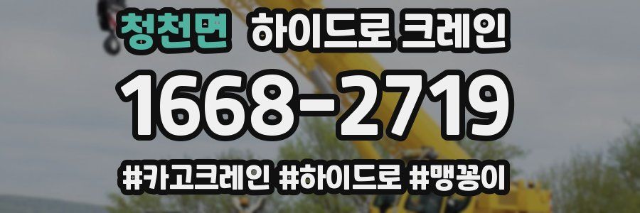 청천면 하이드로 크레인