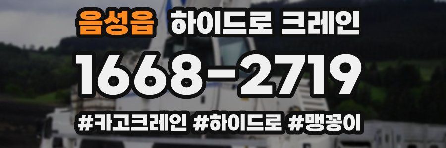 음성읍 하이드로 크레인