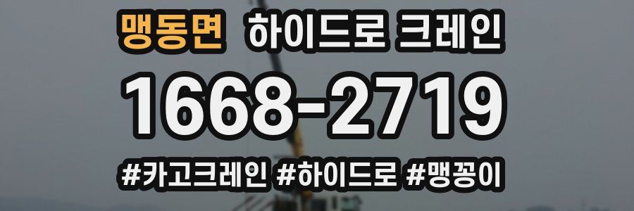 맹동면 하이드로 크레인