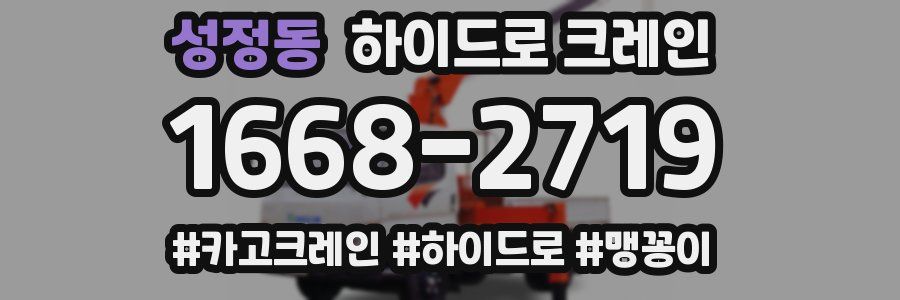 성정동 하이드로 크레인