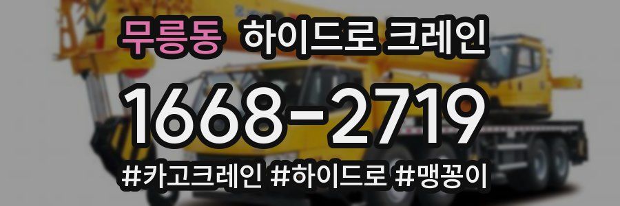 무릉동 하이드로 크레인