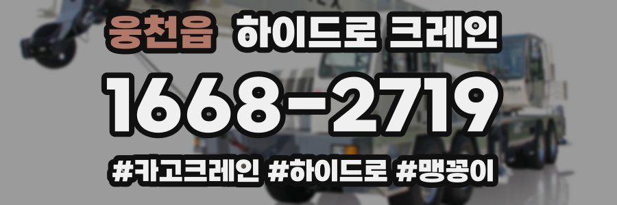 웅천읍 하이드로 크레인