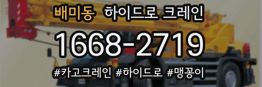 배미동 하이드로 크레인