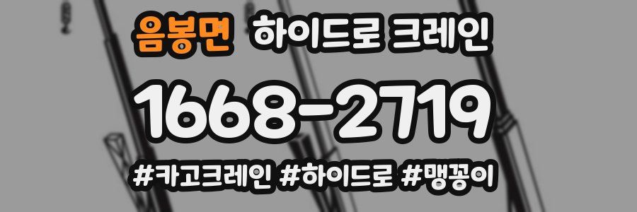 음봉면 하이드로 크레인