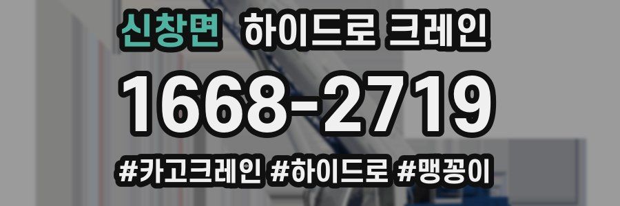 신창면 하이드로 크레인