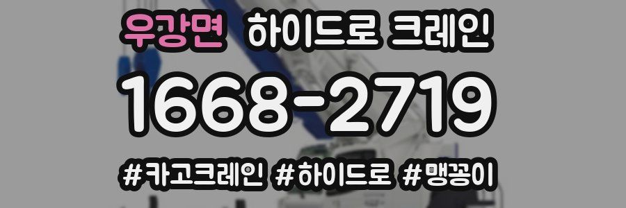 우강면 하이드로 크레인